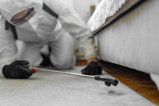 Professional Bed Bug Control technician working in Matamoras, PA